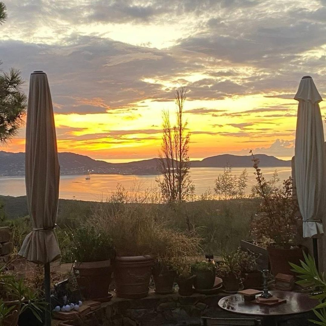 1AF01EAD-EDCE-43D0-86E9-41FFF992620C